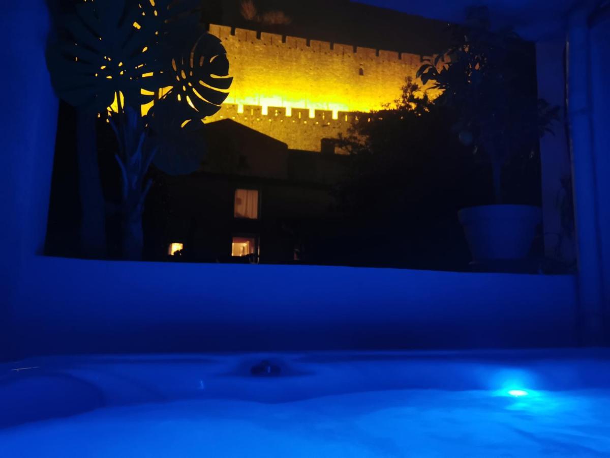 Le Cellier De Beaulieu, Au Pied De La Cite, Maison De Vacances Avec Climatisation Et Jacuzzi Каркассонн Екстер'єр фото